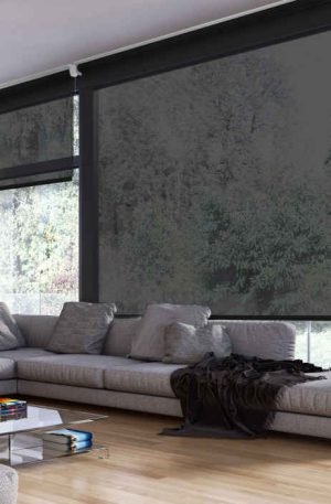 Cortinas Roller Screen 5% Negro